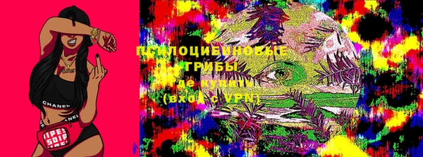 не бодяженный Дмитровск