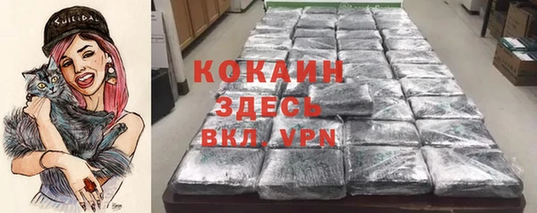 метадон Дмитриев