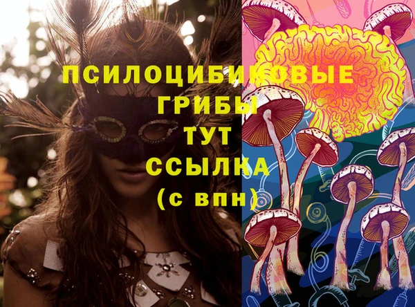 метадон Дмитриев